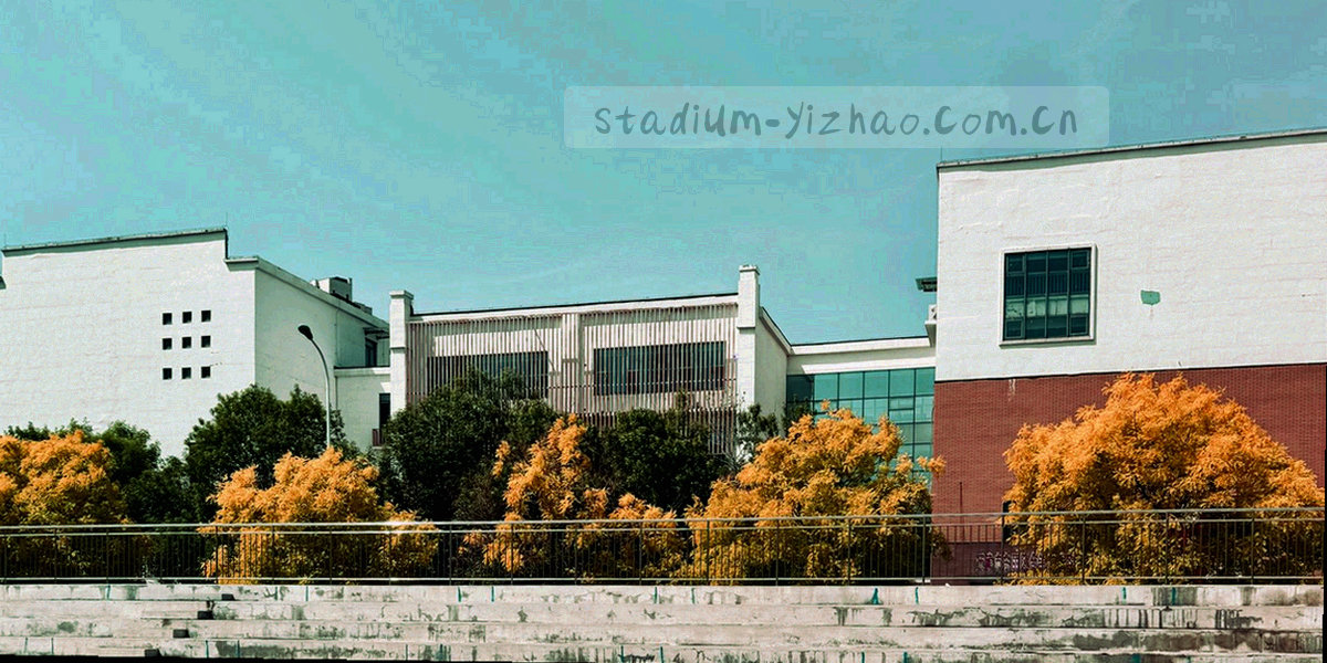 战术板半场标线与箭头构成的抽象底图，无文字与标识