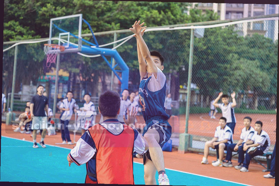 战术板细线与半场标线构成的抽象底纹